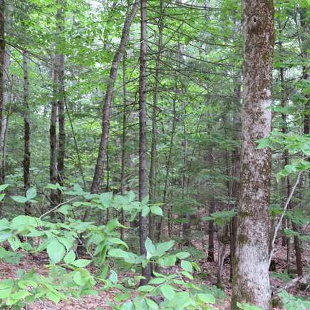 2.43 Acres of Residential Land for Sale in Sandwich, New Hampshire