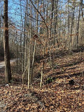 1.6 Acres of Land for Sale in Dandridge, Tennessee