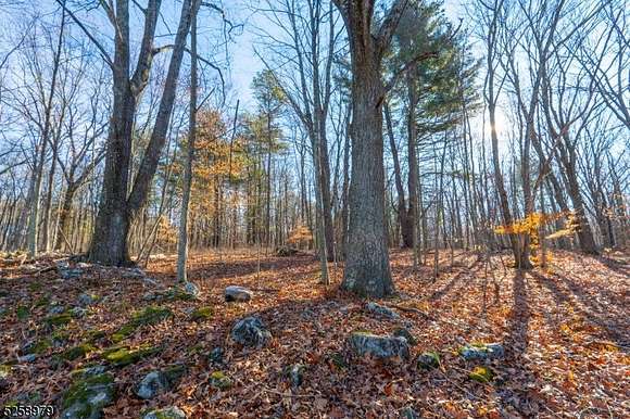 28.15 Acres of Recreational Land for Sale in Sandyston Township, New Jersey