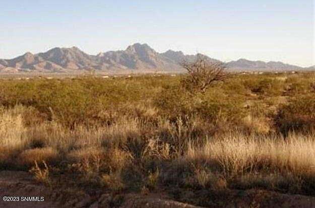 40 Acres of Agricultural Land for Sale in Las Cruces, New Mexico
