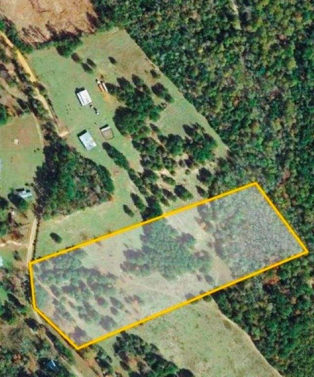 12 Acres of Land for Sale in Kirbyville, Texas