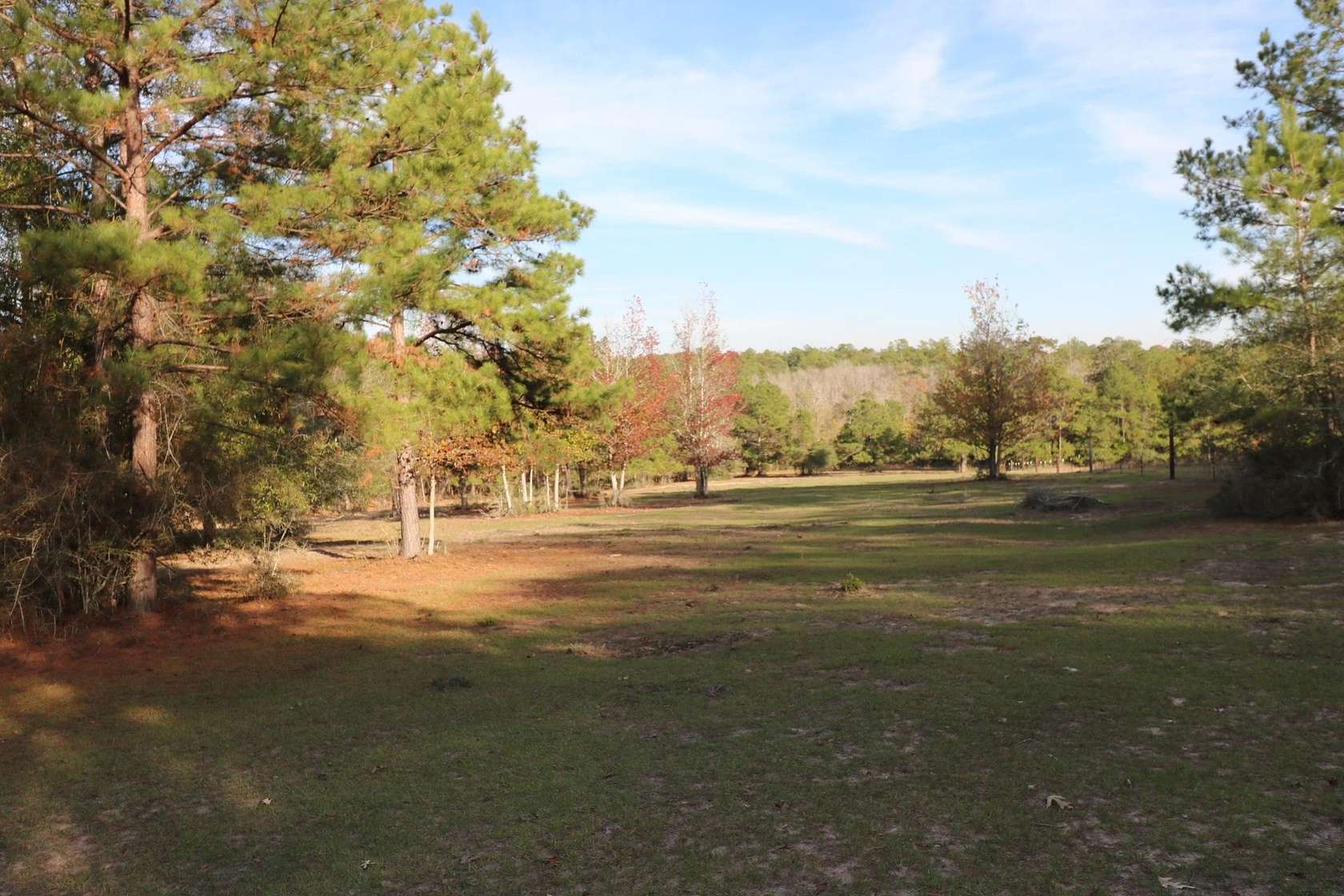 12 Acres of Land for Sale in Kirbyville, Texas