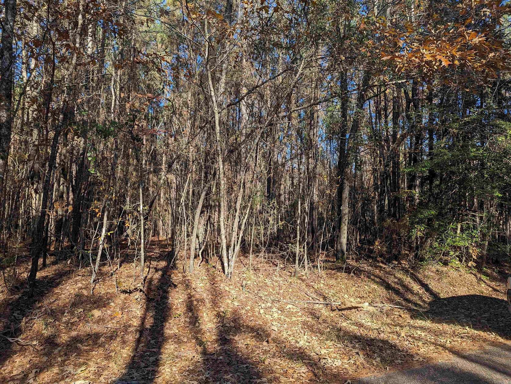 1 Acre of Land for Sale in Camden, Arkansas