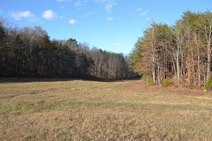 52.6 Acres of Land for Sale in Spring City, Tennessee