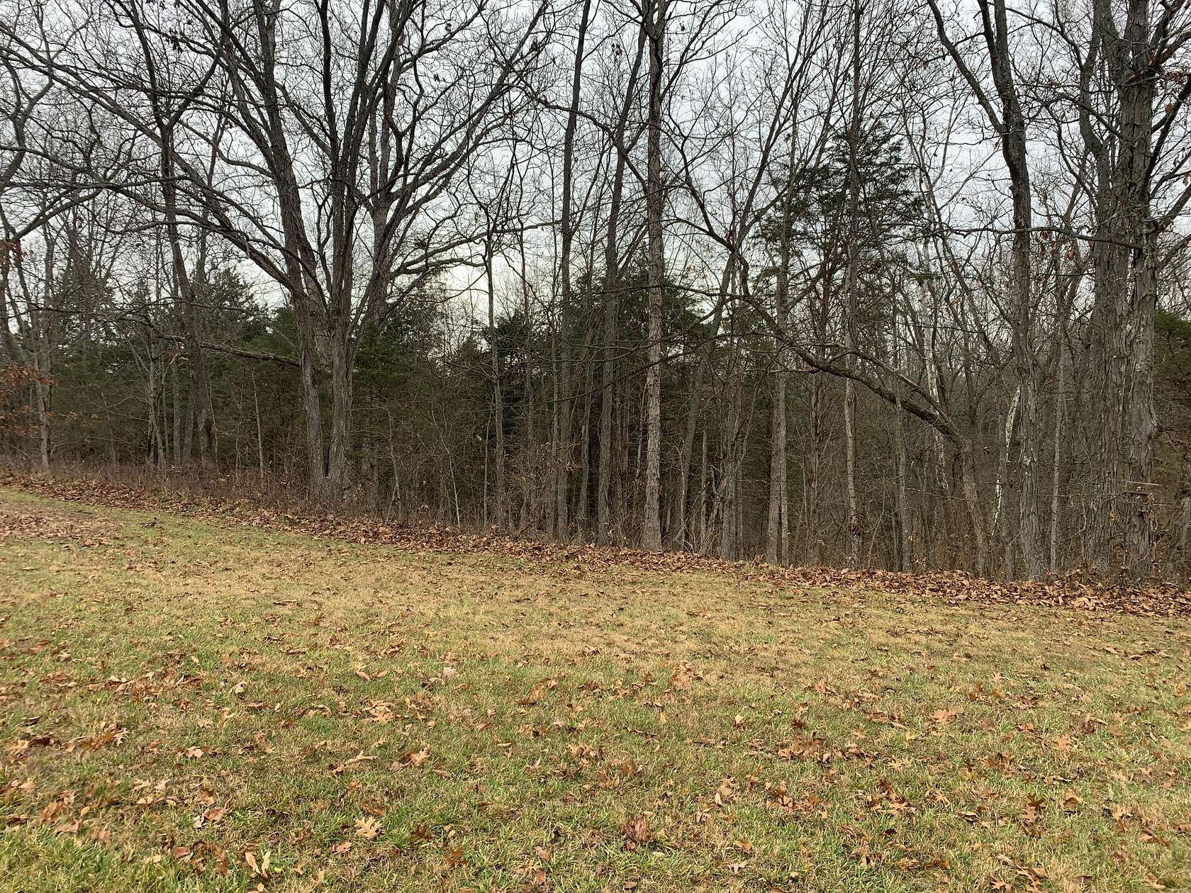 5 Acres of Residential Land for Sale in Sadieville, Kentucky