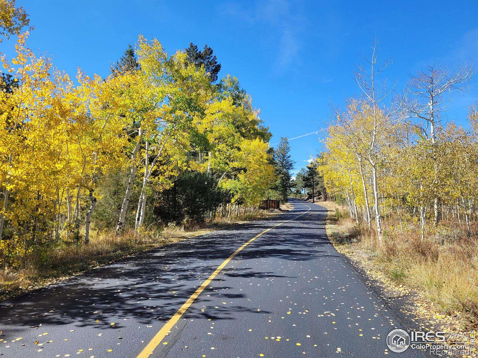 0.26 Acres of Residential Land for Sale in Red Feather Lakes, Colorado