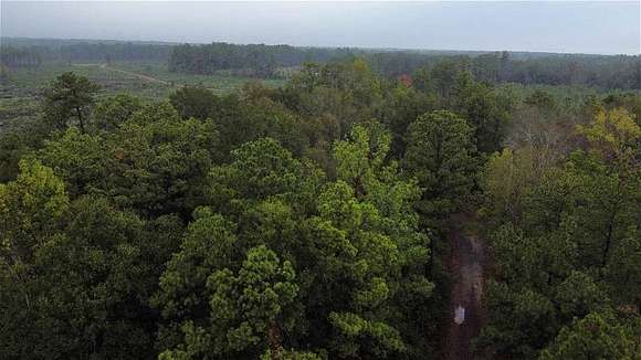 20 Acres of Land with Home for Sale in Call, Texas