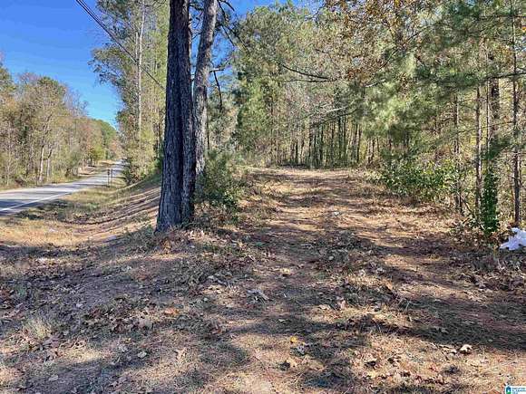 0.77 Acres of Commercial Land for Sale in Chelsea, Alabama
