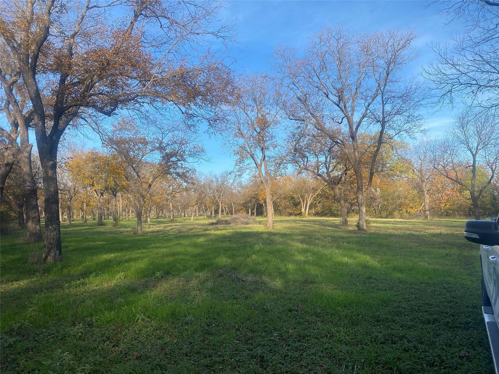 21 Acres of Land for Sale in Gustine, Texas