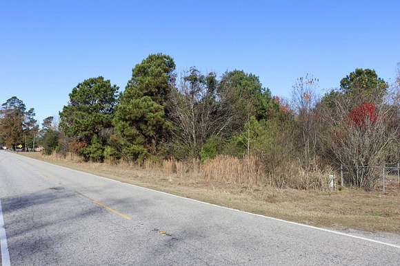 29.4 Acres of Land for Sale in Dillon, South Carolina