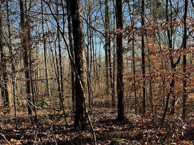 232 Acres of Recreational Land for Sale in Celina, Tennessee