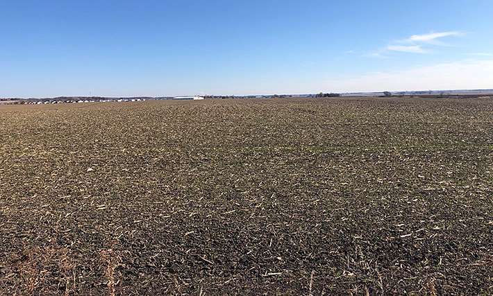 141.29 Acres of Recreational Land & Farm for Sale in Yorkville, Illinois