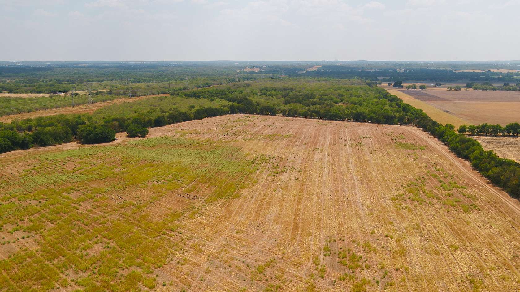 40 Acres of Land for Sale in Rockdale, Texas