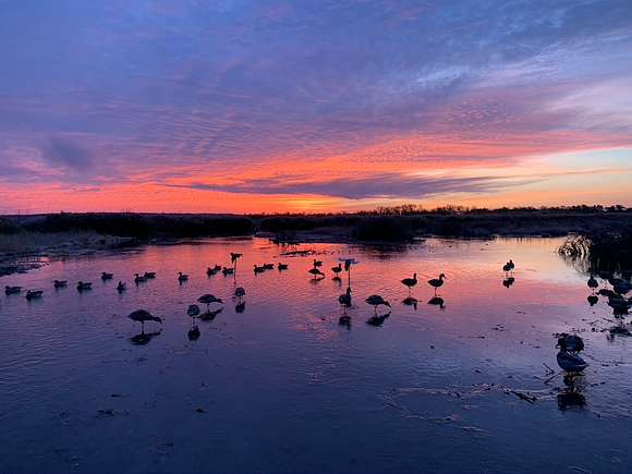 394.43 Acres of Recreational Land for Sale in Niobrara, Nebraska