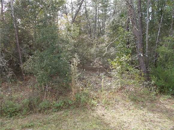 0.96 Acres of Residential Land for Sale in Hernando, Florida