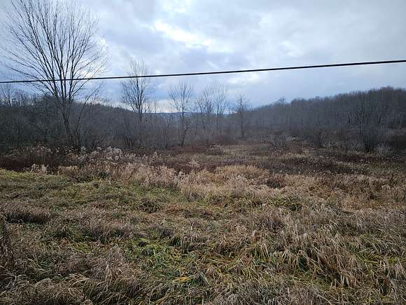 9 Acres of Land for Sale in Norwich, New York