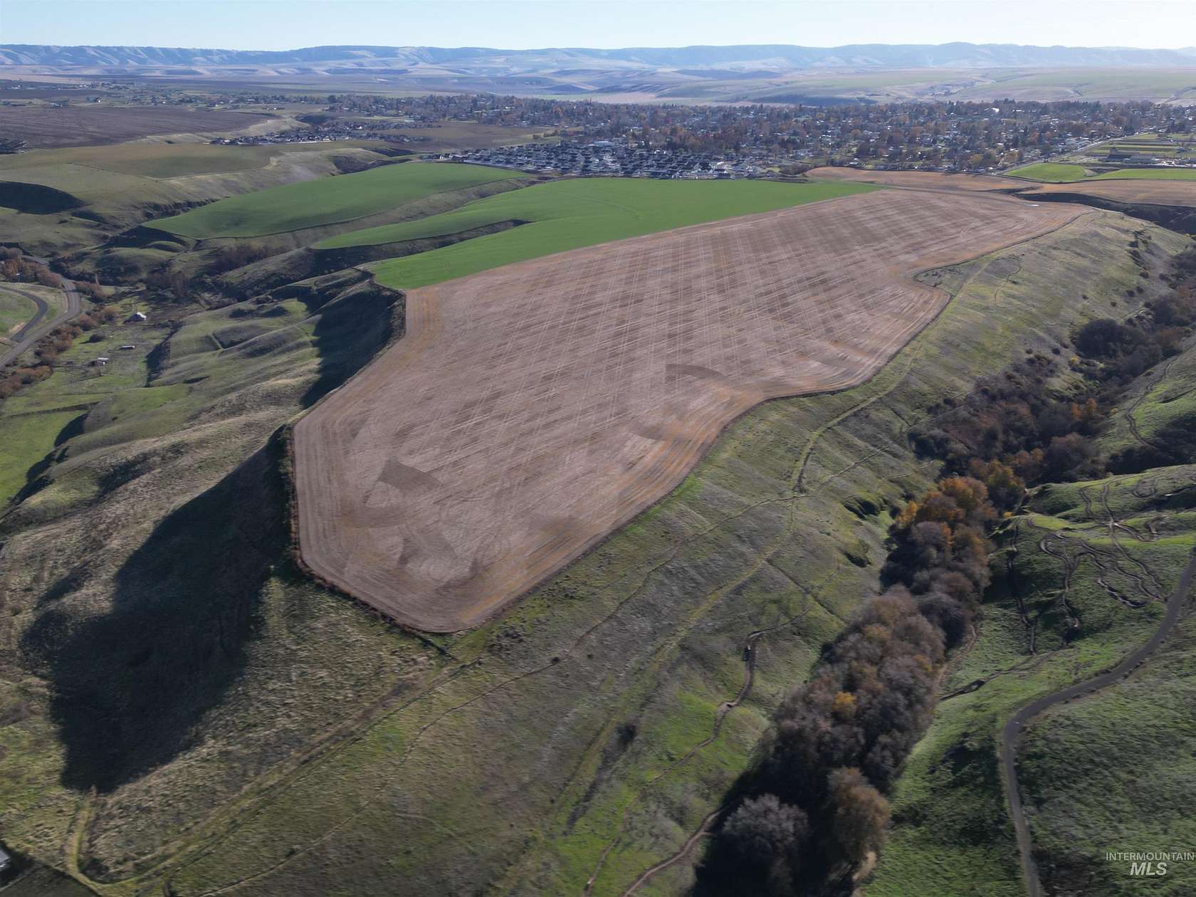 114.351 Acres of Agricultural Land for Sale in Lewiston, Idaho