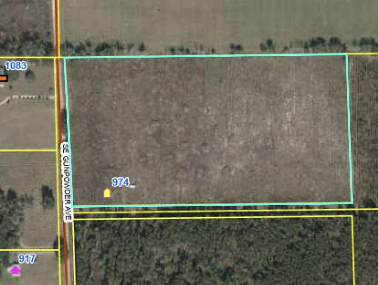 20 Acres of Land for Sale in Madison, Florida