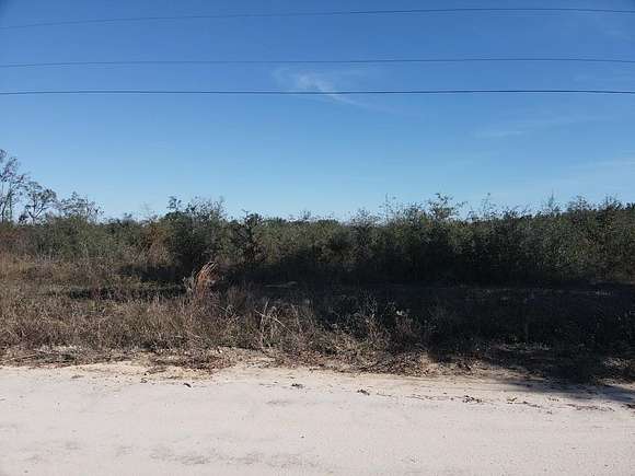 20 Acres of Land for Sale in Madison, Florida