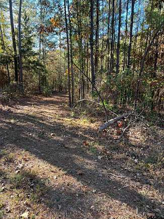 8.8 Acres of Residential Land for Sale in Gilmer, Texas