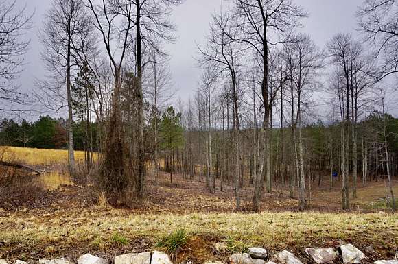 0.79 Acres of Residential Land for Sale in Jasper, Tennessee