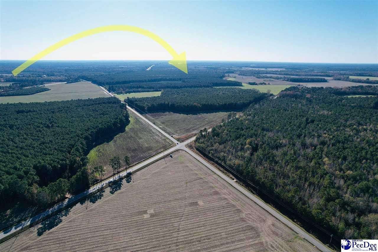 24 Acres of Land for Sale in Dillon, South Carolina