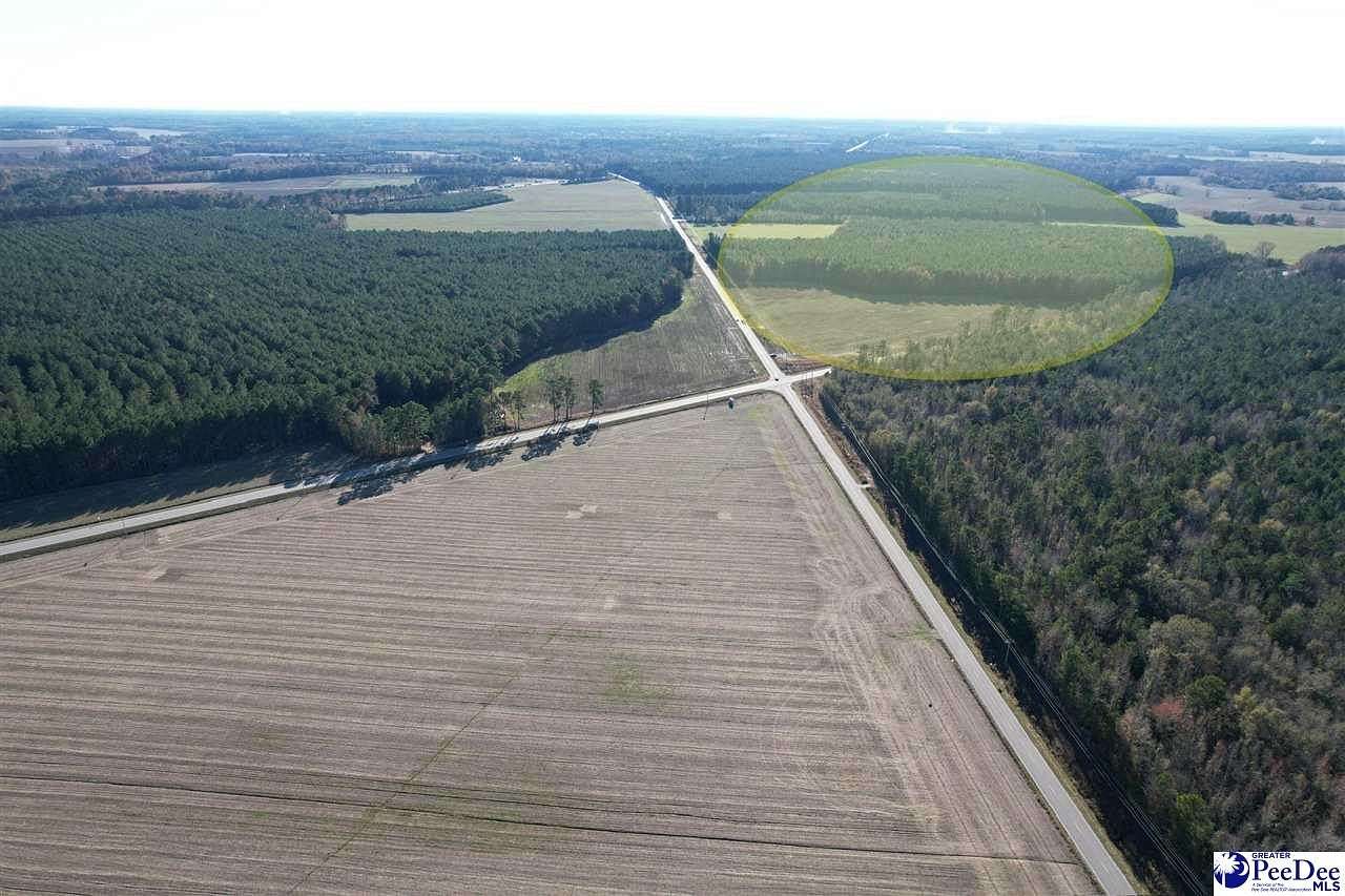 24 Acres of Commercial Land for Sale in Dillon, South Carolina