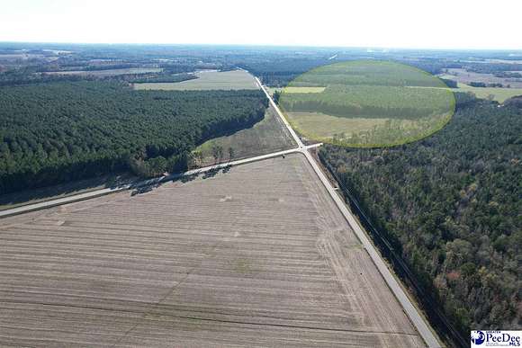 24 Acres of Land for Sale in Dillon, South Carolina