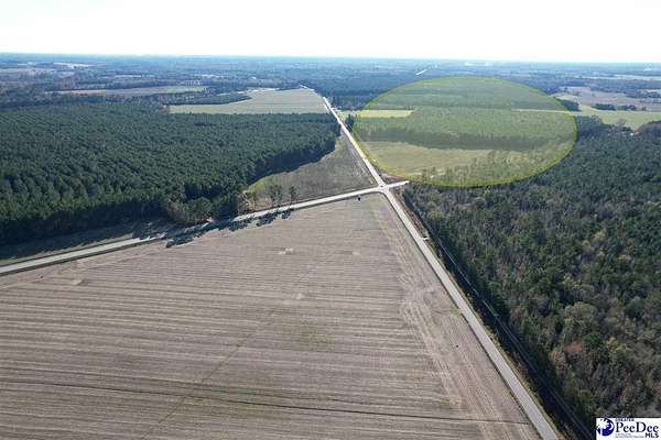 24 Acres of Commercial Land for Sale in Dillon, South Carolina