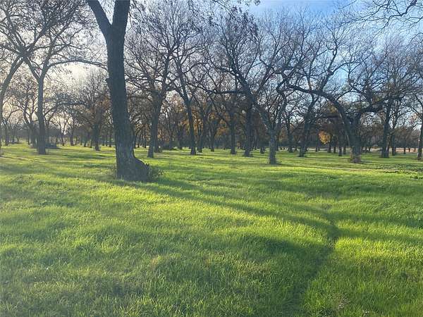 85 Acres of Recreational Land for Sale in Gustine, Texas