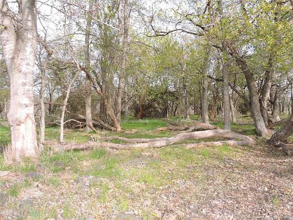 98.6 Acres of Land for Sale in Kemp, Texas