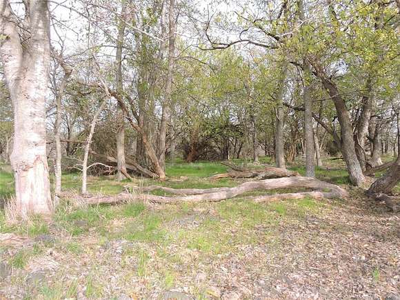 98.56 Acres of Land for Sale in Kemp, Texas