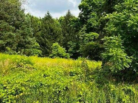 0.43 Acres of Residential Land for Sale in Ithaca, New York