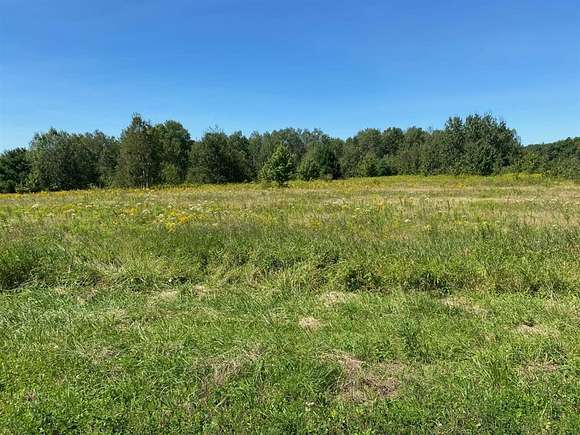11.3 Acres of Recreational Land for Sale in Lisle, New York