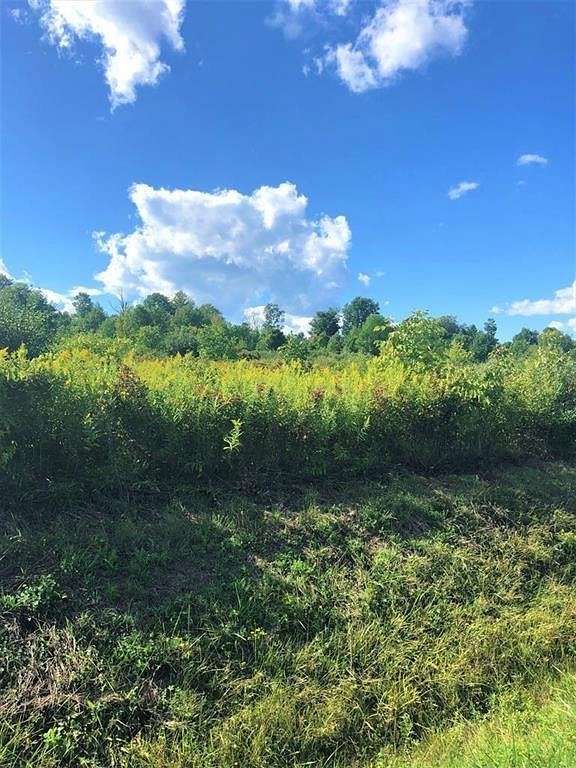5.2 Acres of Land for Sale in Beaver Dams, New York