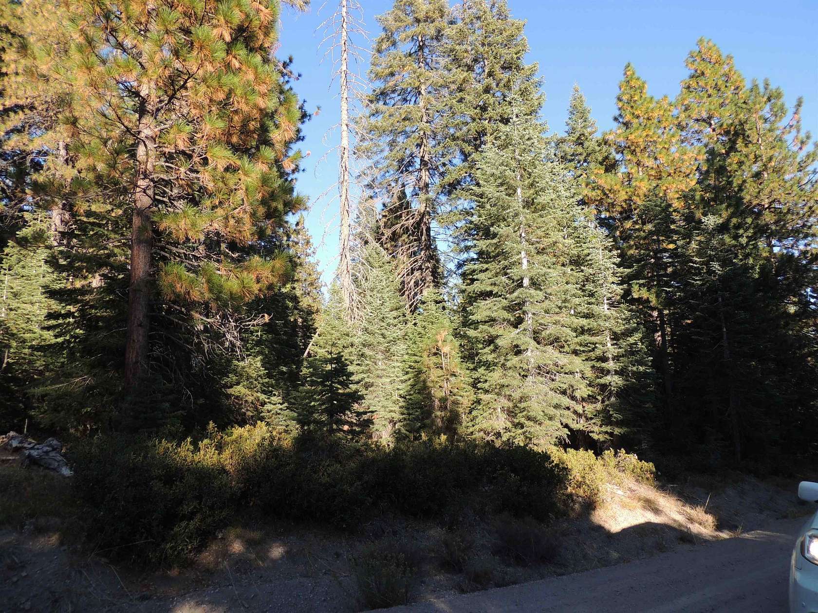 2.9 Acres of Residential Land for Sale in McCloud, California