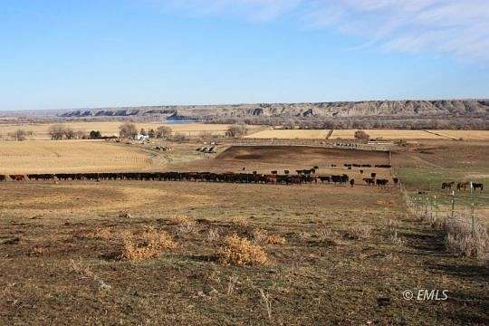 313 Acres of Agricultural Land with Home for Sale in Miles City, Montana