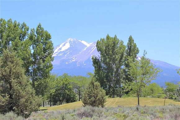 0.35 Acres of Residential Land for Sale in Weed, California