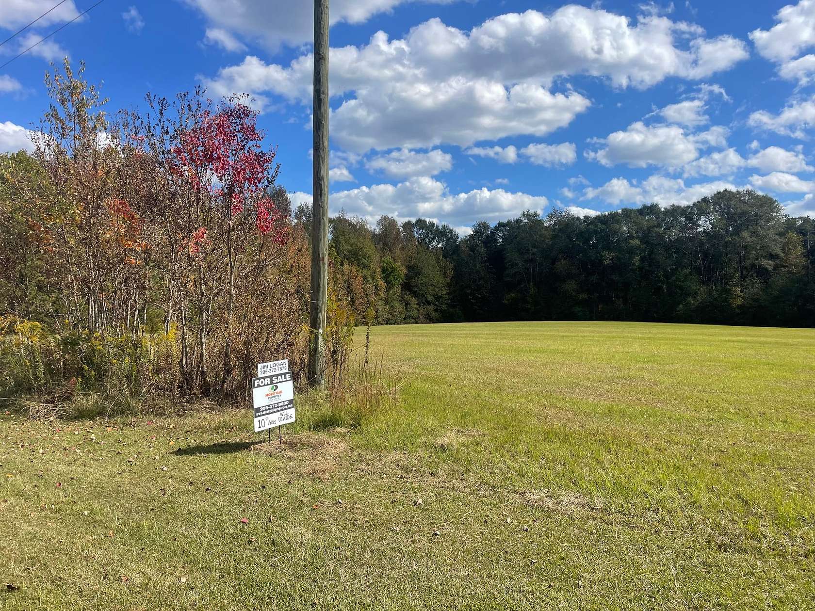 10 Acres of Recreational Land for Sale in Cuba, Alabama