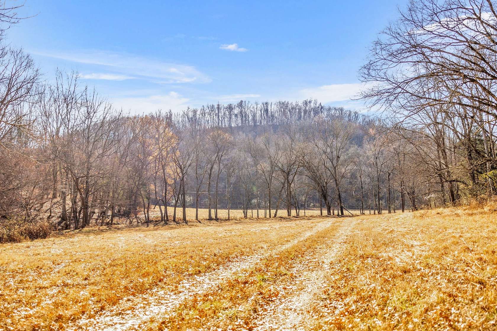 166 Acres of Recreational Land & Farm for Sale in Belfast, Tennessee
