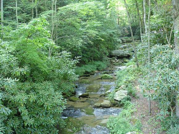9.7 Acres of Recreational Land for Sale in Millers Creek, North Carolina