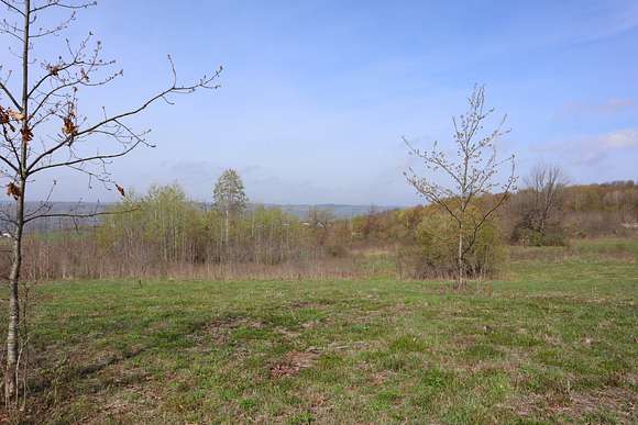 11.9 Acres of Recreational Land for Sale in Florida Town, New York