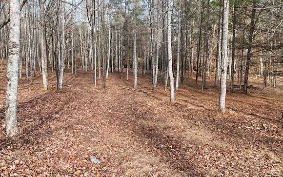 1.3 Acres of Land for Sale in Blairsville, Georgia