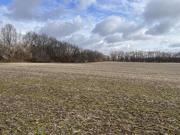 28.7 Acres of Land for Sale in Springport, Michigan