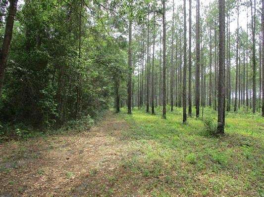 33.05 Acres of Recreational Land & Farm for Sale in Monticello, Florida