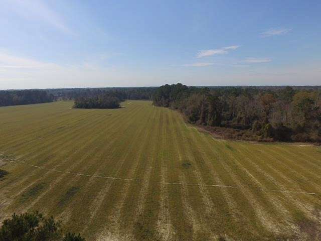 17 Acres of Land for Sale in Hahira, Georgia