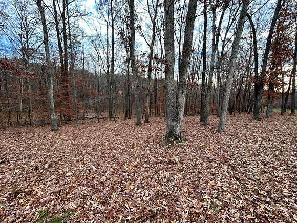 4.61 Acres of Residential Land for Sale in Wirtz, Virginia