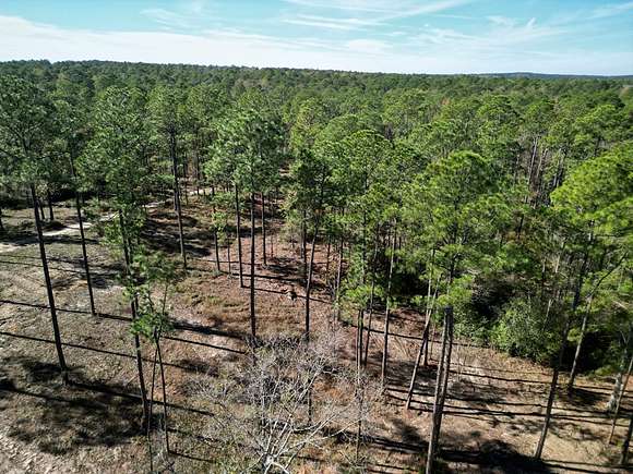 5.3 Acres of Residential Land for Sale in Poplarville, Mississippi