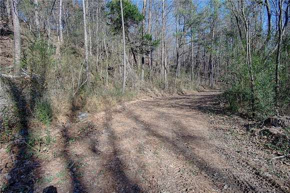 51.2 Acres of Recreational Land for Sale in Fairmount, Georgia