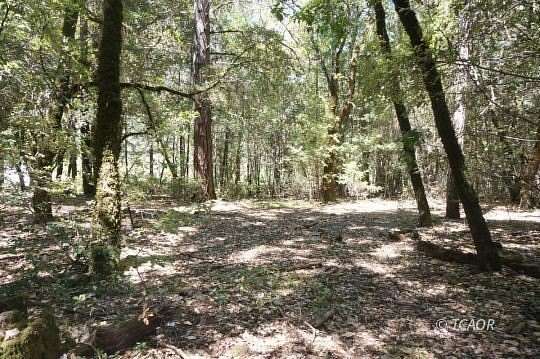 7.9 Acres of Agricultural Land for Sale in Hawkins Bar, California